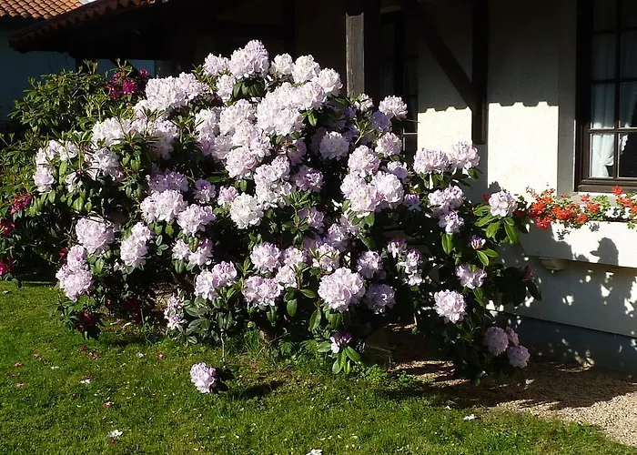 Des Biches Szálloda